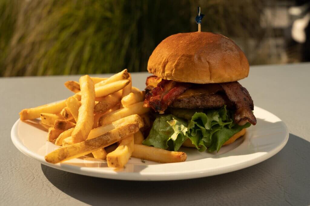 burger and fries on plate