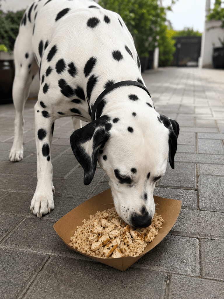 DOG MEAL - Dalmatian Delight